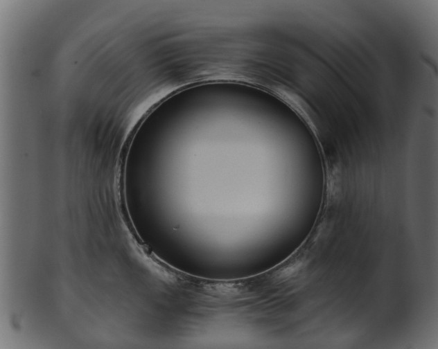 X0000101111149200807031733