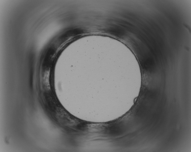 X0000101111150200807031733