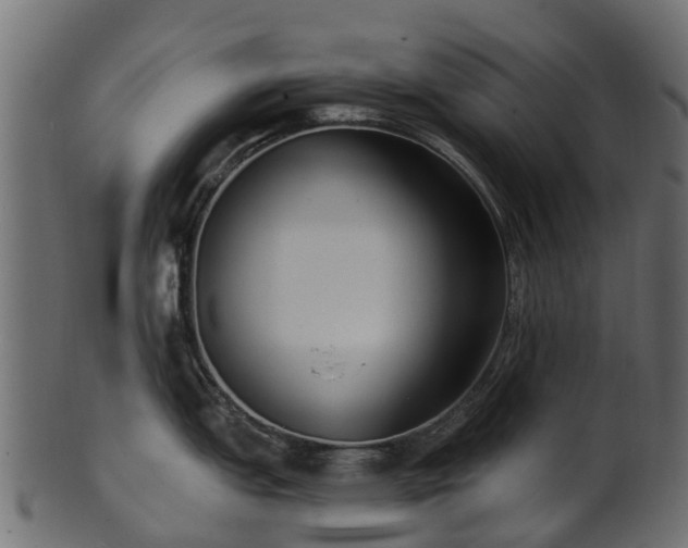 X0000101111151200807031733
