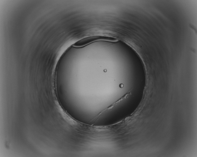 X0000101111152200807031733