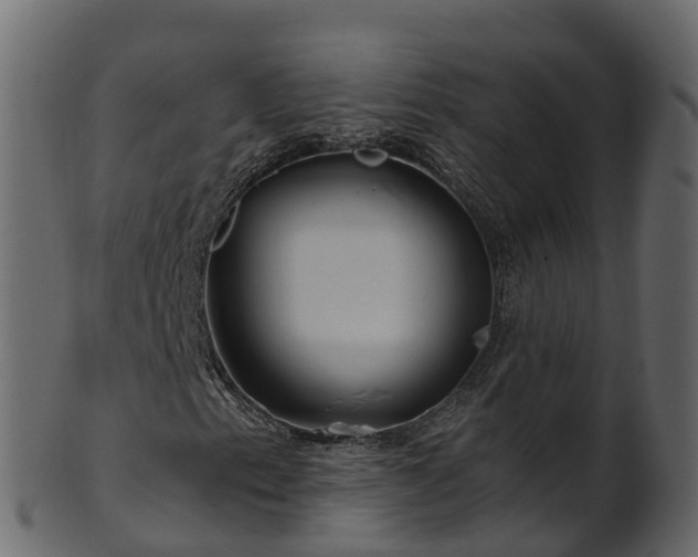 X0000101111153200807031733