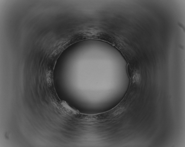 X0000101111156200807031733