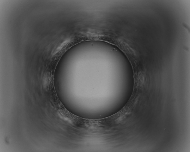 X0000101111157200807031733