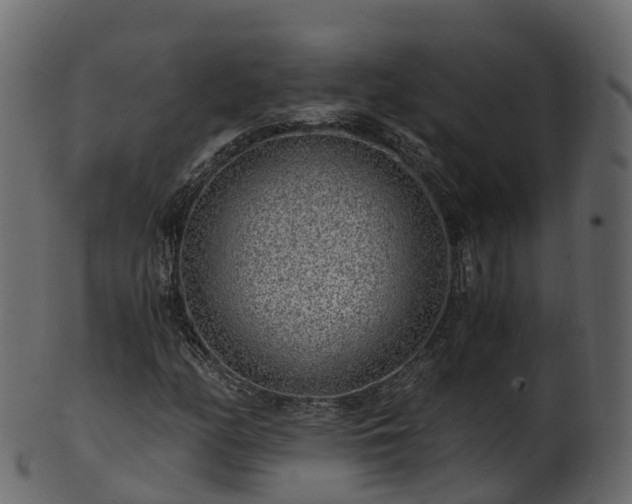 X0000101111158200807031733