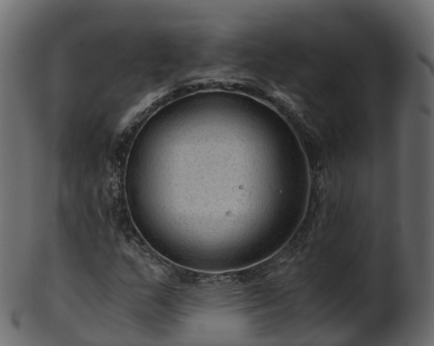 X0000101111159200807031733
