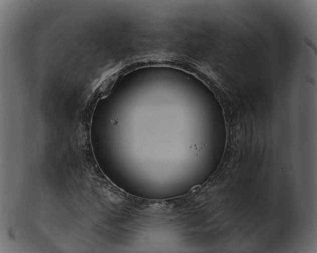 X0000101111160200807031733