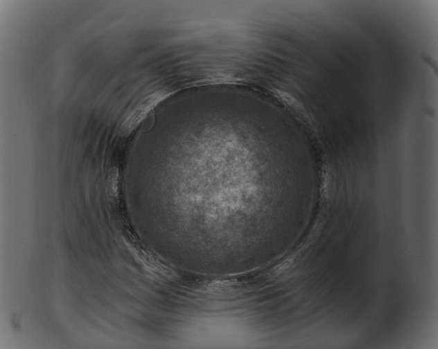X0000101111161200807031733