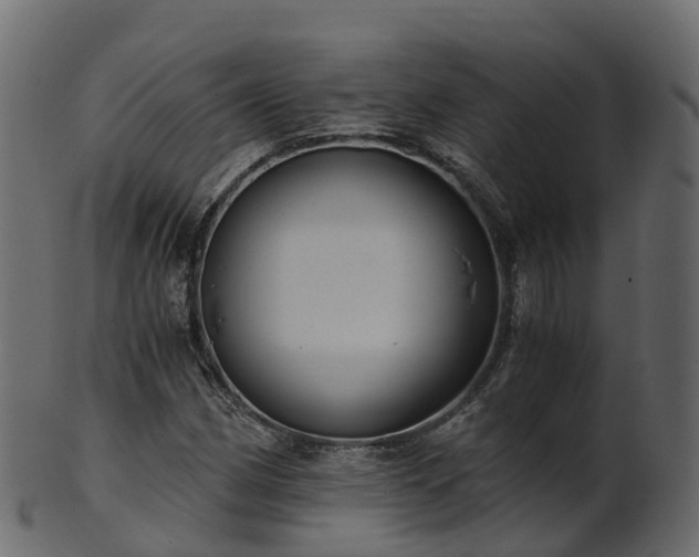 X0000101111162200807031733