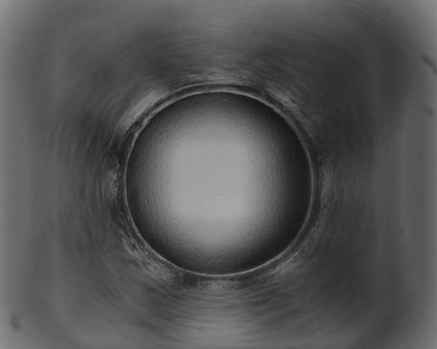 X0000101111163200807031733