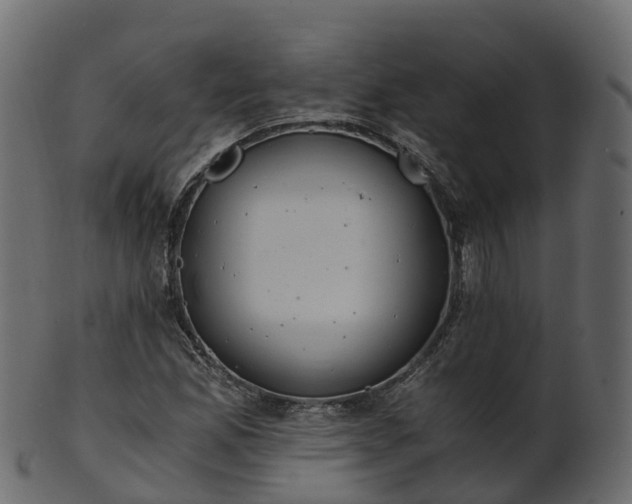 X0000101111165200807031732