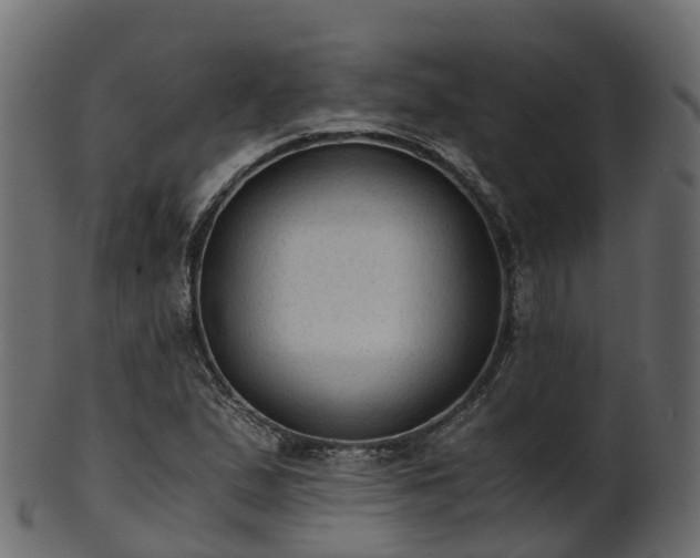 X0000101111167200807031732