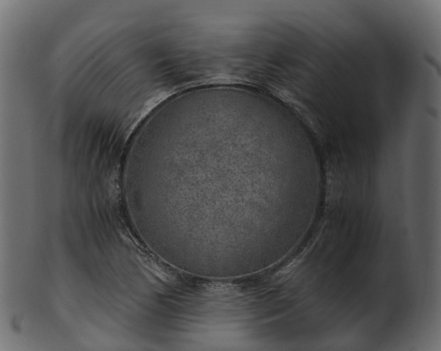X0000101111170200807031732
