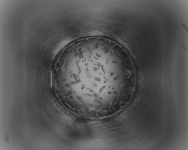 X0000101111171200807031732