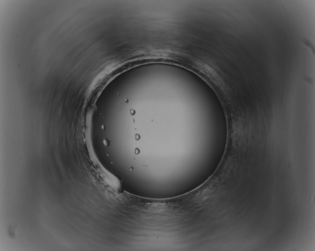X0000101111172200807031732