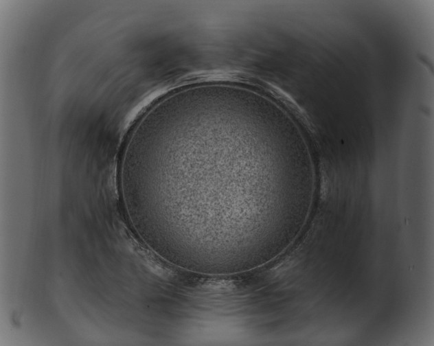 X0000101111174200807031732
