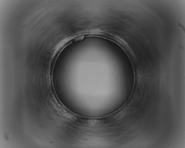 X0000101111176200807031732