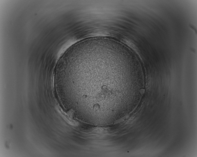 X0000101111179200807031732