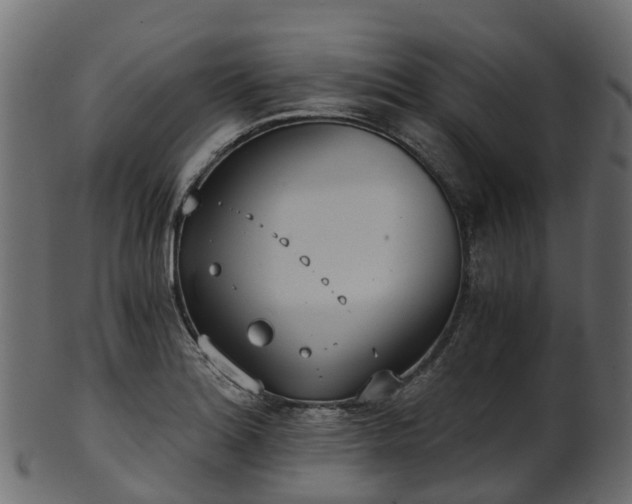 X0000101111180200807031732