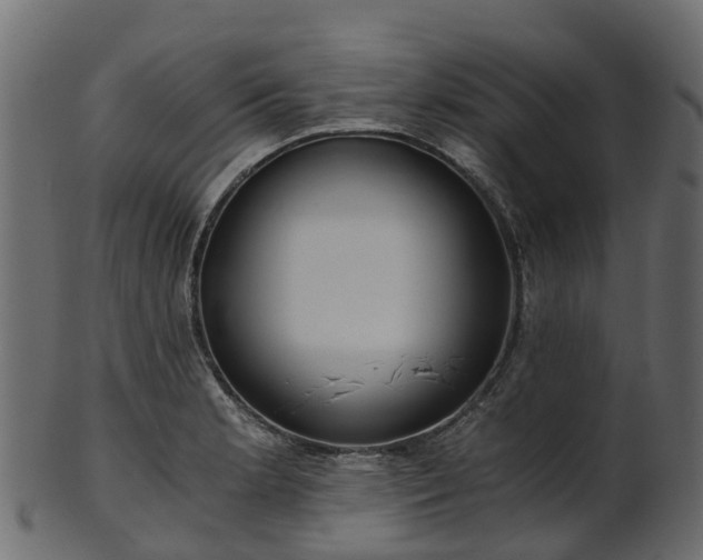X0000101111181200807031732