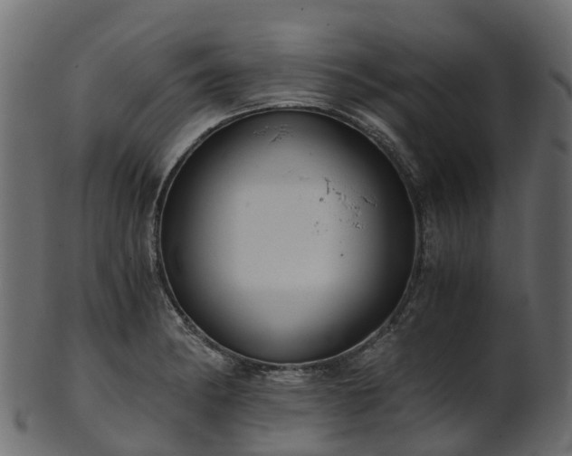 X0000101111182200807031732