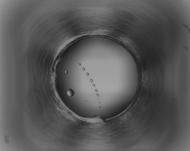 X0000101111184200807031732