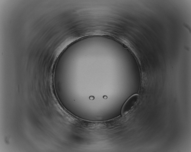 X0000101111187200807031732