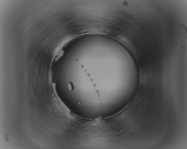 X0000101111188200807031732
