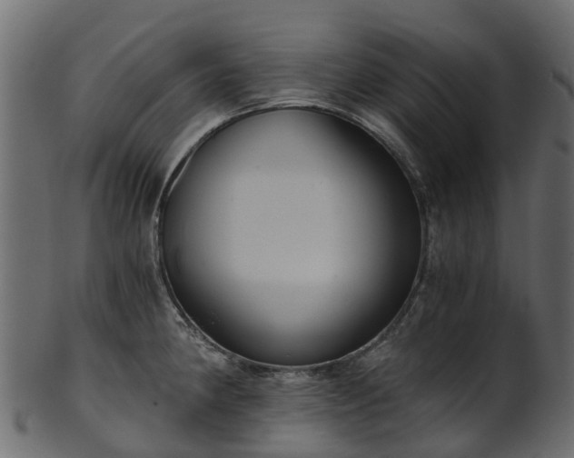 X0000101111190200807031732