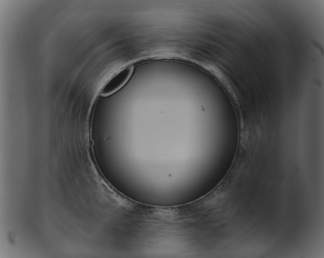 X0000101111191200807031732