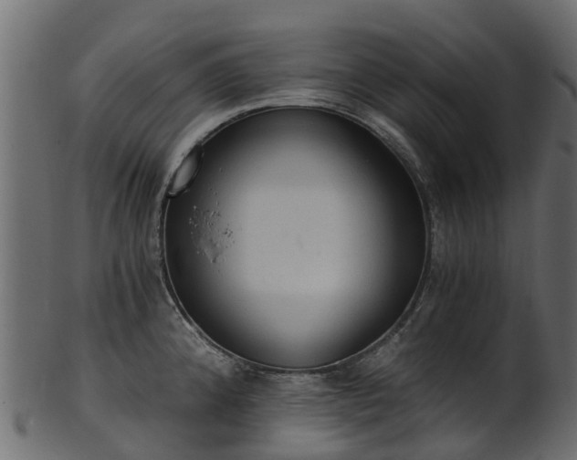 X0000101111192200807031732