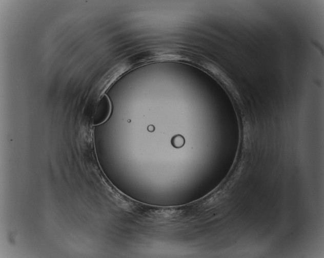 X0000101111193200807031732