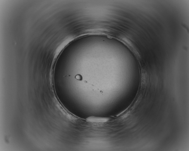 X0000101111196200807031732