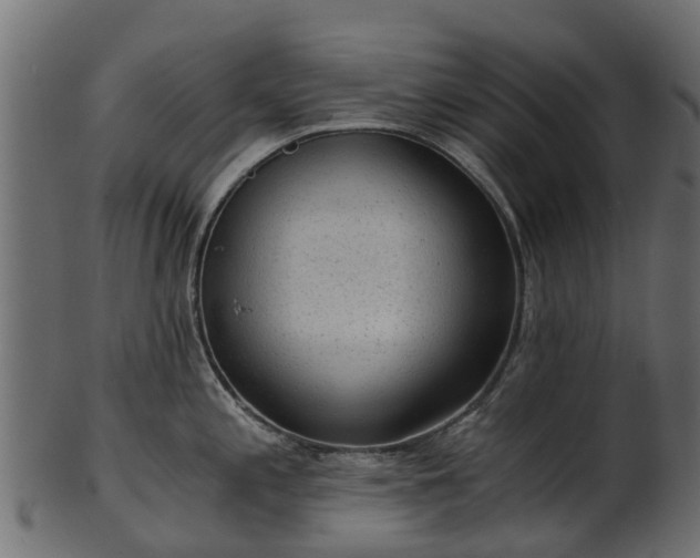 X0000101111197200807031732