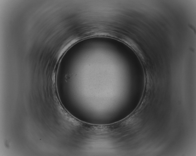 X0000101111198200807031732