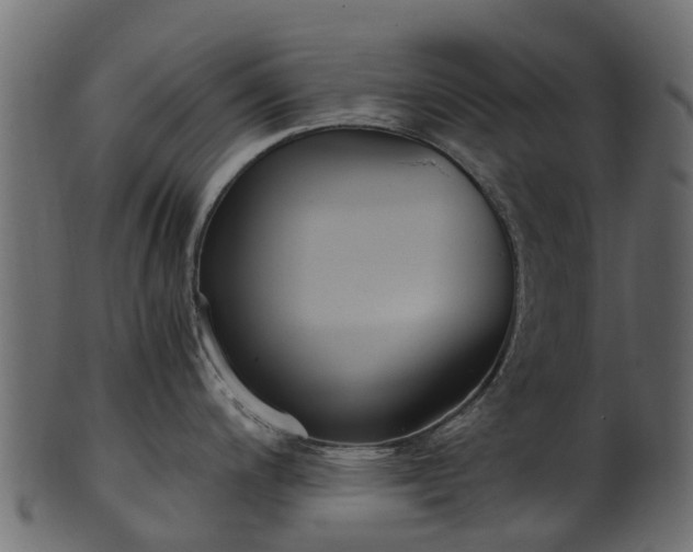 X0000101111200200807031732