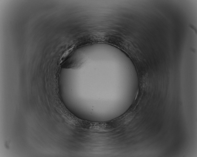 X0000101111201200807031731