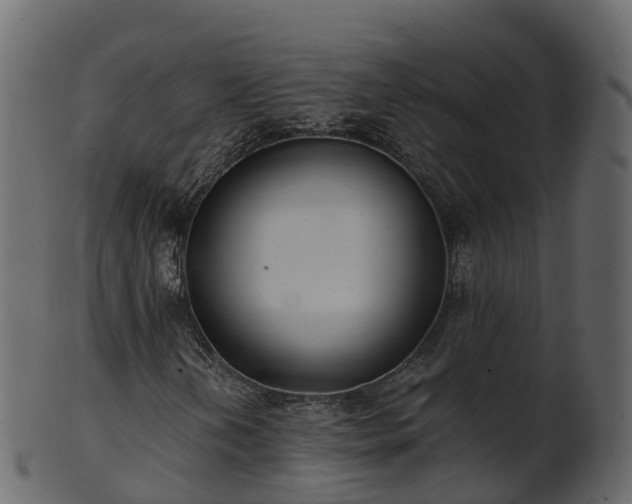 X0000101111202200807031731