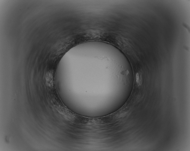 X0000101111203200807031731