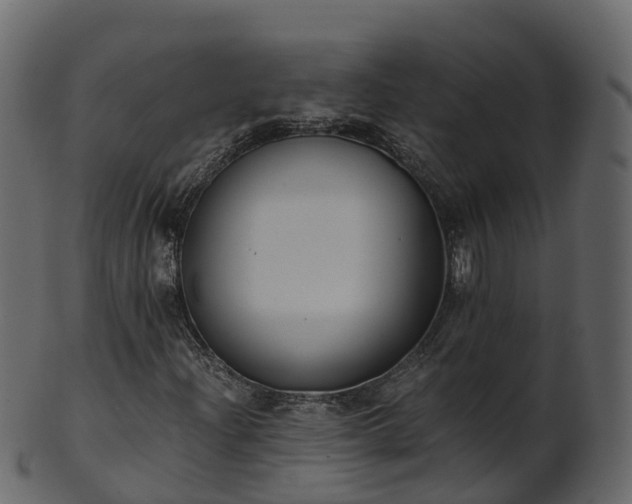 X0000101111204200807031731