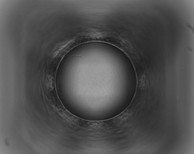 X0000101111205200807031731