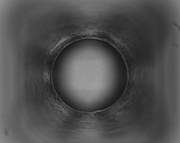 X0000101111206200807031731