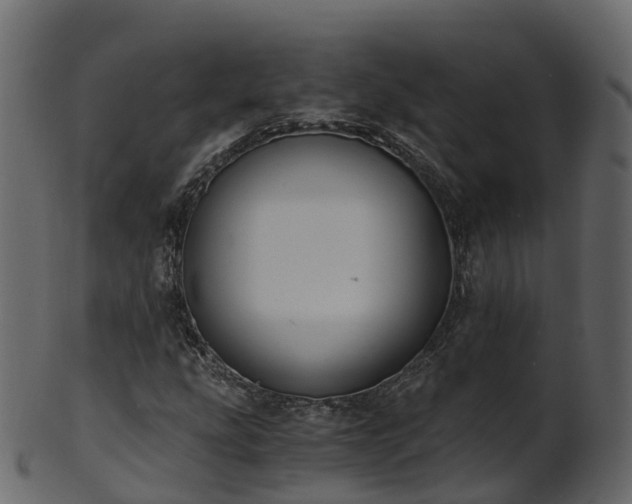 X0000101111207200807031731