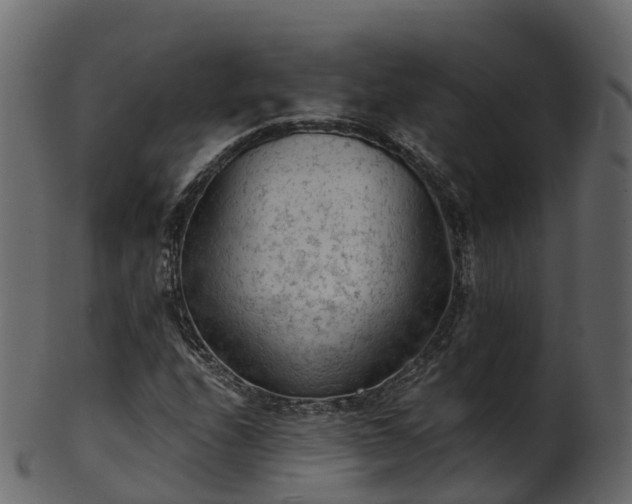 X0000101111208200807031731