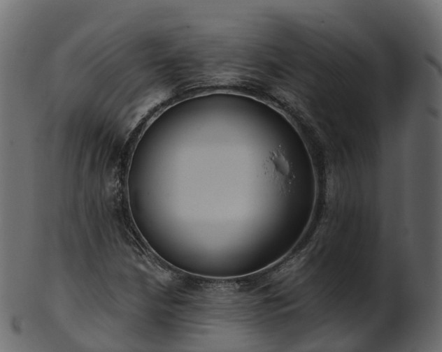 X0000101111210200807031731