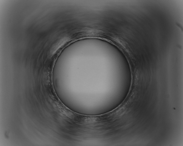 X0000101111211200807031731