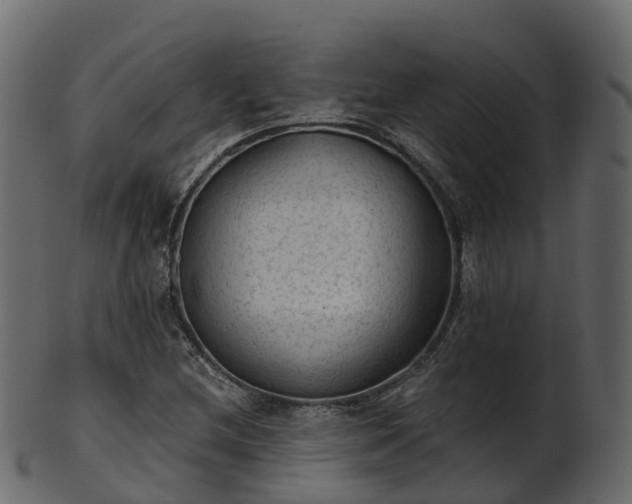 X0000101111212200807031731