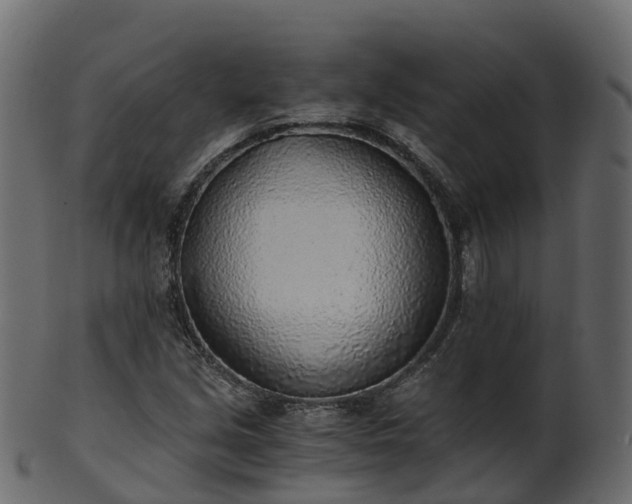 X0000101111213200807031731