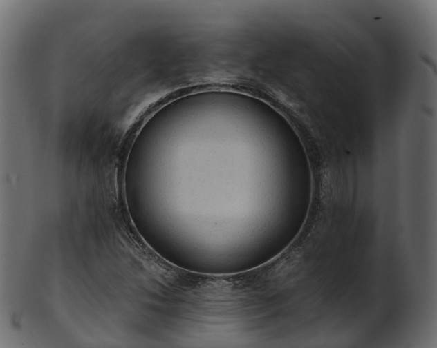 X0000101111214200807031731