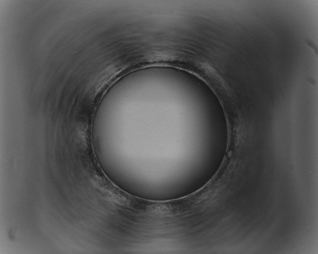 X0000101111217200807031732