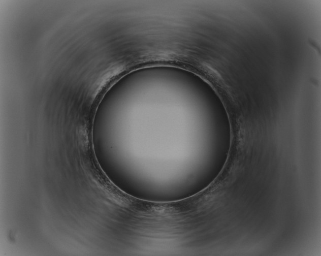 X0000101111218200807031732